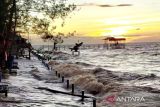 BPBD Kotim imbau masyarakat Teluk Sampit waspadai banjir rob