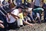 Wako Palu perintahkan Dinas Pertanian dampingi petani bawang