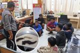 Bawa sajam saat tawuran, enam remaja diringkus Polresta Palangka Raya