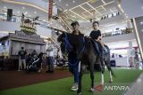 Seorang anak menaiki kuda poni pada Animal Wonders di Mal Ciputra Tangerang, Cikupa, Kabupaten Tangerang, Banten, Selasa (13/5/2025). Pameran yang menghadirkan pertunjukan satwa eksotis, wahana edukatif dan pengalaman berinteraksi langsung dengan hewan tersebut berlangsung hingga 25 Mei 2025. ANTARA FOTO/Putra M. Akbar/gp
