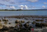 Wisatawan mencari kerang laut di Pantai Bugel, Pandeglang, Banten, Selasa (13/5/2025). Objek wisata alam yang menawarkan hamparan pasir putih, lapangan rumput yang luas untuk berkemah, serta tempat untuk menikmati matahari terbenam tersebut menjadi salah satu destinasi favorit saat akhir pekan atau musim liburan. ANTARA FOTO/Angga Budhiyanto/gp