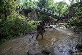 Warga melintas di bawah jembatan yang ambrol di Desa Karangjati Anyar, Kecamatan Wonorejo, Pasuruan, Jawa Timur, Selasa (13/5/2025). Jembatan penghubung antarkecamatan tersebut ambrol disebabkan oleh dinding penahan yang tidak mampu menahan pergerakan tanah yang labil akibat intensitas hujan tinggi. Antara Jatim/Umarul Faruq