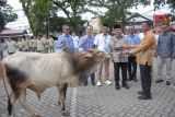 Perumda AM Kota Padang salurkan hewan kurban kepada masjid dan mushala