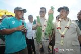 Swasembada Pangan prioritas pembangunan nasional