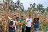 Dukung ketahanan pangan, Khairuddin Simanjuntak luncurkan program aspiratif ke masyarakat
