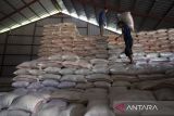 Pekerja memanggul karung beras hasil serapan di Gudang tambahan milik Bulog Cabang Indramayu, Jawa Barat, Rabu (14/5/2025). Perum Bulog Wilayah Jawa Barat hingga 11 Mei 2025 berhasil menyerap 352.680 ton setara beras dari petani lokal dan telah mencapai 63,88 persen dari total penyerapan yang ditargetkan sebesar 552.099 ton ANTARA FOTO/Dedhez Anggara/agr
