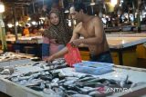 Seorang pedagang ikan laut melayani pembeli di Pasar Flamboyan, Pontianak, Kalimantan Barat, Selasa (13/5/2025). Menurut pedagang ikan di pasar tersebut harga ikan laut naik dari kisaran Rp20rb menjadi Rp25 per kg karena terbatasnya pasokan dari nelayan akibat cuaca buruk dalam sepekan terakhir. ANTARA FOTO/Jessica Wuysang