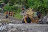 Relawan memasang jembatan bambu di jalur terdampak lahar hujan Gunung Semeru di Desa Jugosari, Kecamatan Candipuro, Lumajang, Jawa Timur, Kamis (15/5/2025). Pemkab Lumajang menetap masa tanggap darurat bencana selama 90 hari sejak tanggal 11 Mei 2025 untuk mempercepat penanganan kedaruratan infrastruktur di daerah aliran terdampak banjir lahar hujan Gunung Semeru. Antara Jatim/Irfan Sumanjaya/um