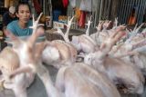 Palu konsisten jaga stabilitas harga bahan pokok di pasar
