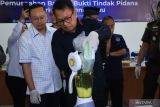 BNN Sumbar musnahkan 6,8 kilogram sabu-sabu jaringan satu keluarga