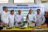 Menteri Koordinator Bidang Pangan Zulkifli Hasan (ketiga kanan) bersama Wakil Menteri Desa dan Pembangunan Daerah Tertinggal Ahmad Riza Patria (kedua kanan) dan Bupati Kabupaten Bandung Dadang Supriatna (kedua kiri) meresmikan Koperasi Merah putih di Desa Cangkuang Wetan, Bandung, Jawa Barat, Kamis (15/5/2025). Dalam kunjungannya ke Kabupaten Bandung, Menko Bidang Pangan mengunjungi Klinik Koperasi Merah putih, serta pembentukan Koperasi Merah Putih di Desa Cangkuang Wetan. ANTARA FOTO/Raisan Al Farisi/agr