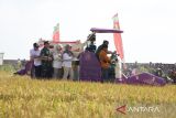 Pemkot Pekalongan  revitalisasi lahan bekas rob jadi lahan pertanian