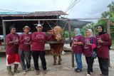 Pedagang sapi Mathari (ketiga dari kiri) bersama keluarganya memperlihatkan seekor sapi jenis limosin yang telah dibeli oleh Presiden Prabowo di kediamannya di Jalan Petani, Pontianak, Kalimantan Barat, Rabu (14/5/2025). Mathari mengatakan bahwa sapi jantan jenis limosin berusia 3,5 tahun dengan bobot 946 kilogram miliknya tersebut telah dibeli Presiden Prabowo untuk disumbangkan sebagai hewan kurban ke Masjid Al Falah Pontianak pada Hari Raya Idul Adha 1446 Hijriah mendatang. ANTARA KALBAR/Jessica Wuysang