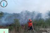 BNPB sebut karhutla di dua desa Kabupaten Ogan Ilir sudah padam