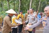 Polres Batang salurkan panen jagung ke  Bulog