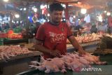 Pedagang menata ayam yang dijualnya di Pasar Flamboyan, Pontianak, Kalimantan Barat, Kamis (15/5/2025). Menurut pedagang di pasar tersebut saat ini harga ayam ras di tingkat konsumen seharga Rp26 ribu per kilogram. ANTARA FOTO/Jessica Wuysang