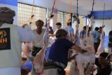 INH buka program qurban di 14 negara jangkau Palestina hingga Nigeria