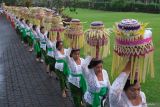 Umat Hindu berjalan menjunjung gebogan atau sesajen berisi buah, bunga, dan hiasan janur saat tradisi Mapeed di Pura Taman Ayun, Desa Mengwi, Badung, Bali, Kamis (15/5/2025). Tradisi yang digelar setiap enam bulan sekali dengan diikuti ratusan perempuan di desa tersebut merupakan rangkaian dari upacara persembahyangan di pura yang diakui UNESCO sebagai warisan budaya dunia. ANTARA FOTO/Nyoman Hendra Wibowo/wsj.