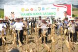 Kapolri hadiri panen raya jagung di Bone Sulsel mendukung ketahanan pangan
