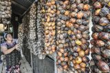 Warga menjemur buah pinang dengan cara digantung di Muara Sabak Ulu, Tanjung Jabung Timur, Jambi, Kamis (15/5/2025). Harga jual biji pinang kering di Tanjung Jabung Timur yang memiliki luas perkebunan pinang mencapai 9.846 hektare tersebut mulai turun dari Rp29 ribu per kilogram pada bulan lalu menjadi Rp17 ribu per kilogram karena terdampak pergerakan permintaan dari negara-negara tujuan ekspor, seperti India, Arab Saudi, dan Bangladesh. ANTARA FOTO/Wahdi Septiawan/YU