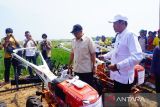 Pemkab  Batang sebut serapan gabah petani alami surplus