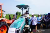 Pemkab Batang berharap Koperasi Merah Putih solusi modal bagi petani
