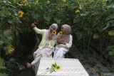 Wisatawan melakukan swafoto saat berkunjung di wisata Ladang Bunga Matahari di Pandanrejo, Batu, Jawa Timur, Sabtu (17/5/2025). Petani setempat memanfaatkan area persawahan seluas 3.000 meter persegi untuk dijadikan tempat wisata berupa ladang bunga matahari dan mampu menarik kunjungan wisatawan sekitar 100 hingga 300 orang per hari meskipun hanya dibuka dua kali periode dalam setahun yakni saat bunga matahari mekar di musim pancaroba. ANTARA Jatim/Ari Bowo Sucipto/mas.