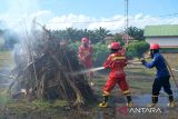 Sejumlah personel Brigade Pengendalian Kebakaran Hutan dan Lahan melakukan simulasi pemadaman api yang disaksikan oleh Menteri Lingkungan Hidup Hanif Faisol Nurofiq di PT Putra Lirik Domas, Kecamatan Rasau Jaya, Kabupaten Kubu Raya, Kalimantan Barat, Sabtu (17/5/2025). Menteri Lingkungan Hidup meninjau langsung kesiapan perusahaan perkebunan kelapa sawit tersebut dalam menghadapi potensi kebakaran hutan dan lahan (karhutla) yang rawan terjadi di wilayah tersebut. ANTARA FOTO/Jessica Wuysang