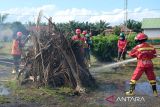 Sejumlah personel Brigade Pengendalian Kebakaran Hutan dan Lahan melakukan simulasi pemadaman api yang disaksikan oleh Menteri Lingkungan Hidup Hanif Faisol Nurofiq di PT Putra Lirik Domas, Kecamatan Rasau Jaya, Kabupaten Kubu Raya, Kalimantan Barat, Sabtu (17/5/2025). Menteri Lingkungan Hidup meninjau langsung kesiapan perusahaan perkebunan kelapa sawit tersebut dalam menghadapi potensi kebakaran hutan dan lahan (karhutla) yang rawan terjadi di wilayah tersebut. ANTARA FOTO/Jessica Wuysang