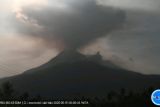 Gunung Lewotobi Laki-laki hari ini lontarkan abu setinggi 1.200 meter