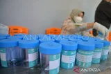 Pegawai dan warga binaan Lapas Bulukumba di tes urine narkoba