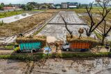 Foto udara sejumlah petani memanen padi di Patianrowo, Nganjuk, Jawa Timur, Senin (19/5/2025). Menurut pemerintah daerah setempat Perekonomian Jawa Timur pada triwulan I 2025 tumbuh sebesar 5,00 persen (yoy) lebih tinggi dibandingkan pertumbuhan ekonomi nasional yang sebesar 4,87 persen (yoy) di antaranya dipengaruhi oleh peningkatan konsumsi rumah tangga dan peningkatan kinerja sektor pertanian seiring dengan panen raya padi. Antara Jatim/Muhammad Mada/um