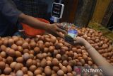 Dafrar harga pangan hari ini: Telur ayam Rp29.018/kg, bawang merah Rp37.800/kg