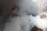 Petugas melakukan pengasapan di Bulak Banteng, Surabaya, Jawa Timur, Senin (19/5/2025). Pengasapan di perkampungan padat penduduk itu dilakukan untuk membasmi nyamuk yang menyebarkan penyakit Demam Berdarah Dengue (DBD). ANTARA Jatim/Didik Suhartono/mas.