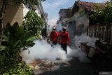 Petugas melakukan pengasapan di Bulak Banteng, Surabaya, Jawa Timur, Senin (19/5/2025). Pengasapan di perkampungan padat penduduk itu dilakukan untuk membasmi nyamuk yang menyebarkan penyakit Demam Berdarah Dengue (DBD). ANTARA Jatim/Didik Suhartono/mas.