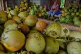 Pedagang kelapa menunggu pembeli di Pasar Ranuyoso, Lumajang, Jawa Timur, Selasa (20/5/2025). Kementerian Perdagangan (Kemendag) melakukan penetapan pungutan ekspor (PE) terhadap komoditas kelapa bulat yang akan diterbitkan dalam bentuk peraturan menteri keuangan (PMK) pada pekan ini untuk untuk menjaga kestabilan dan perlindungan pasar dalam negeri sekaligus mendorong peningkatan ekspor produk tersebut. Antara Jatim/Irfan Sumanjaya/um