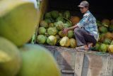 Pekerja menata kelapa ke atas truk di Pasar Ranuyoso, Lumajang, Jawa Timur, Selasa (20/5/2025). Kementerian Perdagangan (Kemendag) melakukan penetapan pungutan ekspor (PE) terhadap komoditas kelapa bulat yang akan diterbitkan dalam bentuk peraturan menteri keuangan (PMK) pada pekan ini untuk untuk menjaga kestabilan dan perlindungan pasar dalam negeri sekaligus mendorong peningkatan ekspor produk tersebut. Antara Jatim/Irfan Sumanjaya/um