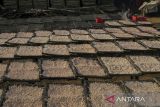 Pekerja menjemur udang rebon di rumah produksi Doa Ibu, Panimbang, Kabupaten Pandeglang, Banten, Selasa (20/5/2025). Kementerian Kelautan dan Perikanan (KKP) terus berupaya meningkatkan serapan udang nasional melalui kampanye gerakan memasyarakatkan makan ikan (Gemarikan), di mana udang tidak hanya sebagai komoditas ekspor unggulan tetapi sumber protein berkualitas tinggi yang dapat dikonsumsi sehari-hari oleh masyarakat Indonesia. ANTARA FOTO/Angga Budhiyanto/gp
