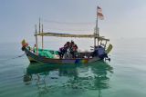 PHE ONWJ rehabilitasi ekosistem terumbu karang