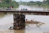 Sejumlah petugas mengikat batang bambu dan tumpukan sampah yang tersangkut pada kaki Jembata Lama Kediri (Brug Over Den Brantas te Kediri) di Kota Kediri, Jawa Timur, Selasa (20/5/2025). Pembersihan jembatan cagar budaya berkonstruksi besi pertama di Jawa tersebut dilakukan setelah pladu (flushing atau penggelontoran) bendungan Wlingi dan Lodoyo Blitar yang membawa rumpun bambu bercampur sampah tersangku pada kaki jembatan dan berpotensi merusak konstruksi seiring meningkatnya kembali volume air saat musim hujan. Antara Jatim/Prasetia Fauzani/um
