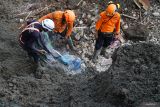 Petugas SAR mencoba mengidentifikasi secara manual benda lunak yang dicurigai jasad korban dalam operasi pencarian korban longsor di Desa Depok, Trenggalek, Jawa Timur, Kamis (22/5/2025). Setelah mengidentifikasi titik lokasi dan melakukan pengupasan material longsor yang menimbun para korban menggunakan alat berat, tim SAR akhirnya berhasil mengevakuasi dua korban, yakni jasad Yatemi (70) yang ditemukan pada pukul 15.00 WIB dan jasad Mesinem (90) yang ditemukan pukul 16.00 WIB. ANTARA Jatim/Destyan Sujarwoko/mas.