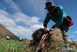 NTB kini tak lagi bergantung pada sektor tambang