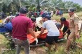 Seorang karyawan sawit di Kapuas ditemukan tewas di dalam kolam air