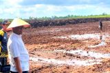 Pertanian Kotim sangat terbantu dukungan pemerintah pusat