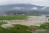 Foto udara lahan pertanian yang terendam banjir di Kecamatan Panumbangan, Kabupaten Ciamis, Jawa Barat, Kamis (22/5/2025). BPBD Ciamis mencatat lahan pertanian yang terendam banjir luapan Sungai Citanduy seluas 95 hektare. ANTARA FOTO/Adeng Bustomi/agr
