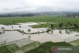 Foto udara lahan pertanian yang terendam banjir di Kecamatan Panumbangan, Kabupaten Ciamis, Jawa Barat, Kamis (22/5/2025). BPBD Ciamis mencatat lahan pertanian yang terendam banjir luapan Sungai Citanduy seluas 95 hektare. ANTARA FOTO/Adeng Bustomi/agr