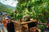 Petani adat menandu kepala kerbau ke arah Cekdam Sungai Bagong, Trenggalek, Jawa Timur, Jumat (23/5/2025). Tradisi tahunan setiap Bulan Selo dalam penanggalan Jawa itu digelar sebagai wujud syukur atas manfaat besar irigasi Dam Bagong bagi petani untuk mengairi sawah di empat kecamatan sekaligus dengan luas lahan pertanian mencapai 800 hektare lebih. Antara Jatim/Destyan Sujarwoko/um