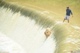 Tradisi larung kepala kerbau di Dam Bagong Trenggalek. Petani adat melempar beberapa bagian daging kerbau ke dasar Cekdam Sungai Bagong, Trenggalek, Jawa Timur, Jumat (23/5/2025). Tradisi tahunan setiap Bulan Selo dalam penanggalan Jawa itu digelar sebagai wujud syukur atas manfaat besar irigasi Dam Bagong bagi petani untuk mengairi sawah di empat kecamatan sekaligus dengan luas lahan pertanian mencapai 800 hektare lebih. Antara Jatim/Destyan Sujarwoko/um