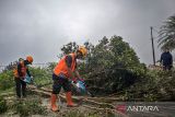 Petugas BPBD Provinsi Jawa Barat memotong batang pohon yang tumbang akibat longsor di Kampung Pencut, Lembang, Kabupaten Bandung Barat, Jawa Barat, Sabtu (24/5/2025). Berdasarkan data BPBD Kabupaten Bandung Barat, sebanyak enam rumah rusak ringan hingga berat terdampak bencana longsor pada Jumat (23/5) yang terjadi akibat tingginya intensitas hujan. ANTARA FOTO/Abdan Syakura/agr
