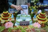 Peserta menghias nasi tumpeng berbentuk Masjid Raya Al-Azhom saat lomba kreasi tumpeng di Hutan Kota Tangerang, Banten, Sabtu (24/5/2025). Lomba yang dinilai berdasarkan kreativitas, cita rasa serta kandungan gizi makanan tersebut sebagai upaya mempopulerkan kembali hidangan tradisional khas Indonesia. ANTARA FOTO/Putra M. Akbar/gp